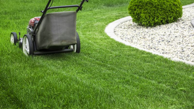 Trimmed Lawn Edges
