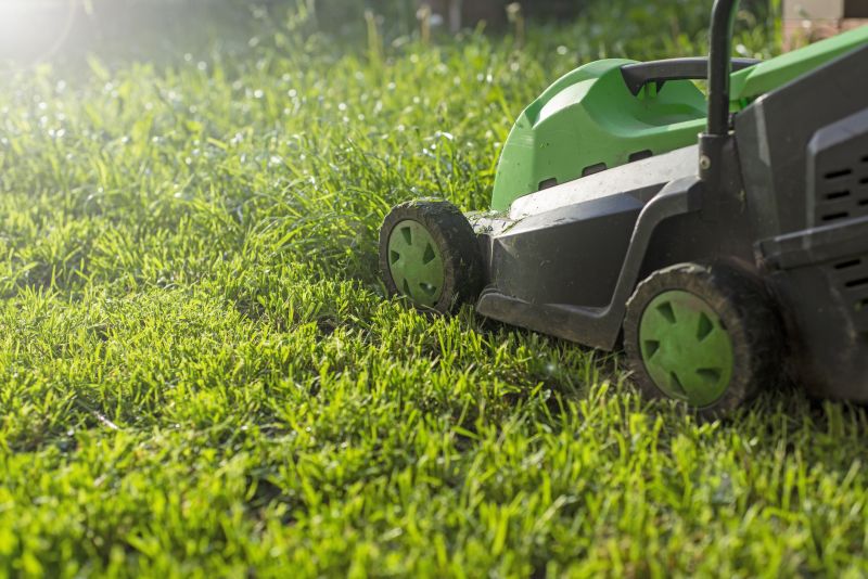 Afternoon Mowing in Bright Sun