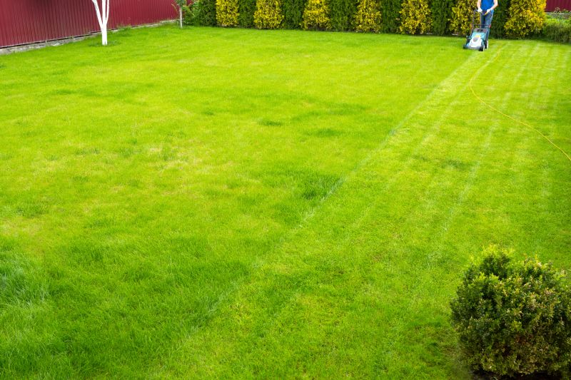 Healthy Green Lawn