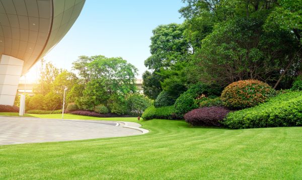Commercial Lawn Care in College Station