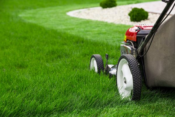 Grass Cutting Service in College Station
