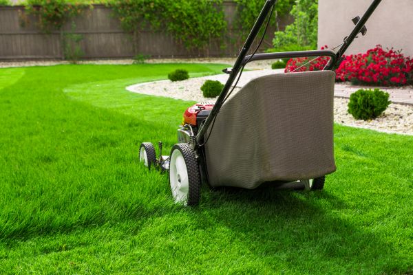 Home Yard Maintenance in College Station