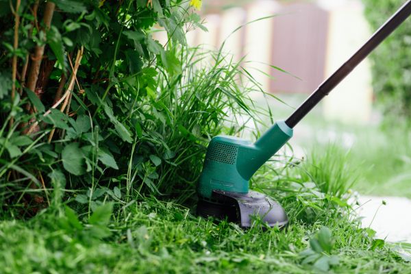 Weed Whacking in College Station