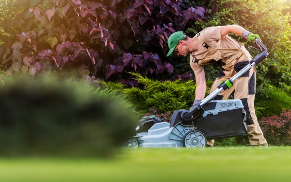 Yard Care Service in College Station