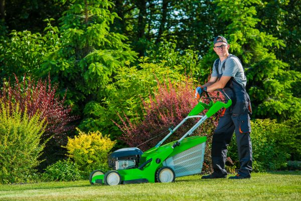 Yard Work Service in College Station