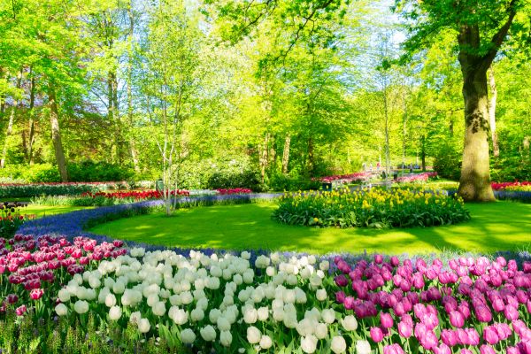 Spring Lawn Care in College Station
