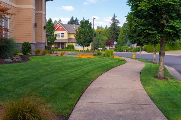 Home Lawn Maintenance in College Station