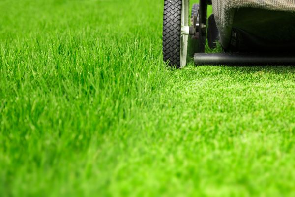 Weekly Lawn Care in College Station