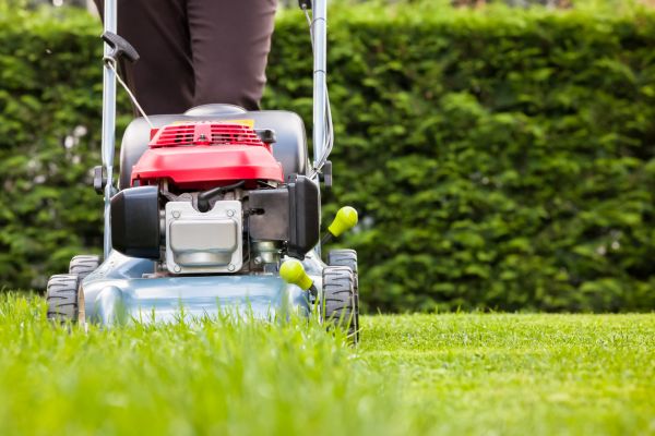 Grass Trimming Service in College Station