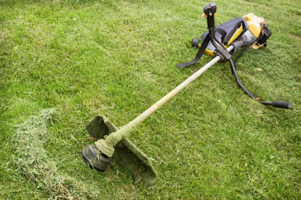 Hillside Weed Whacking in College Station