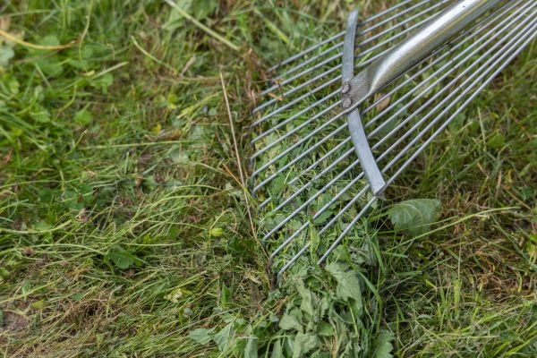 Thatch Raking in College Station
