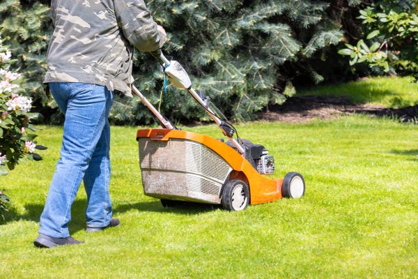 Springtime Lawn Care in College Station