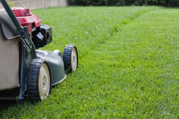 Spring Lawn Maintenance in College Station