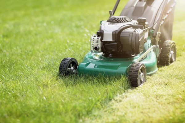 Spring Grass Trimming in College Station