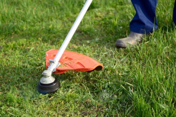 Lawn Weed Whacking in College Station